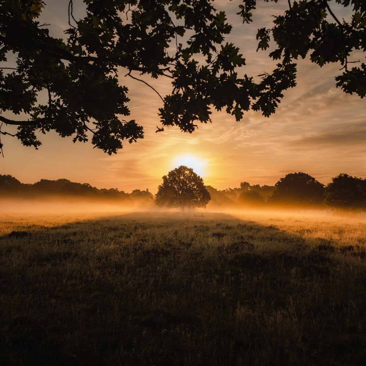 ASERVIC Competencies Series: Competency 13